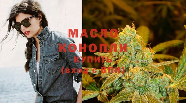 стаф Вяземский