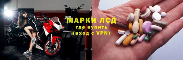 стаф Вяземский