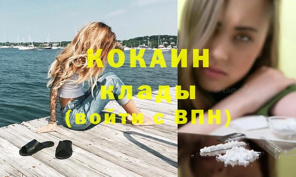 apvp Кукмор