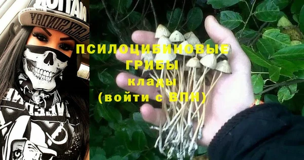 мдпв Вязьма
