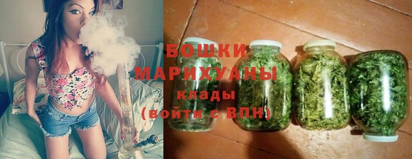 стаф Вяземский