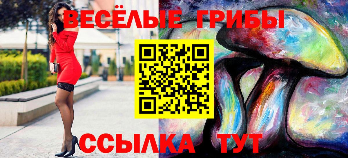 Псилоцибиновые грибы прущие грибы Горячий Ключ