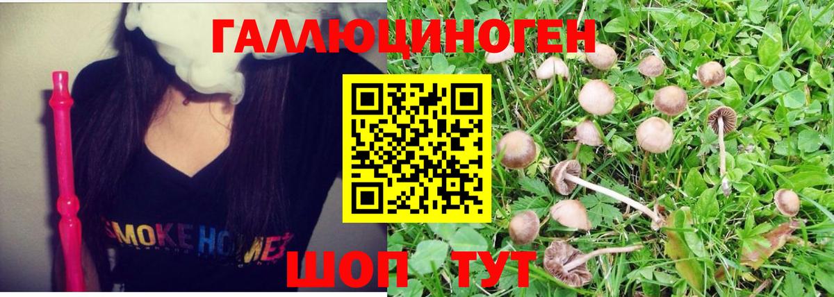 Псилоцибиновые грибы MAGIC MUSHROOMS Горячий Ключ