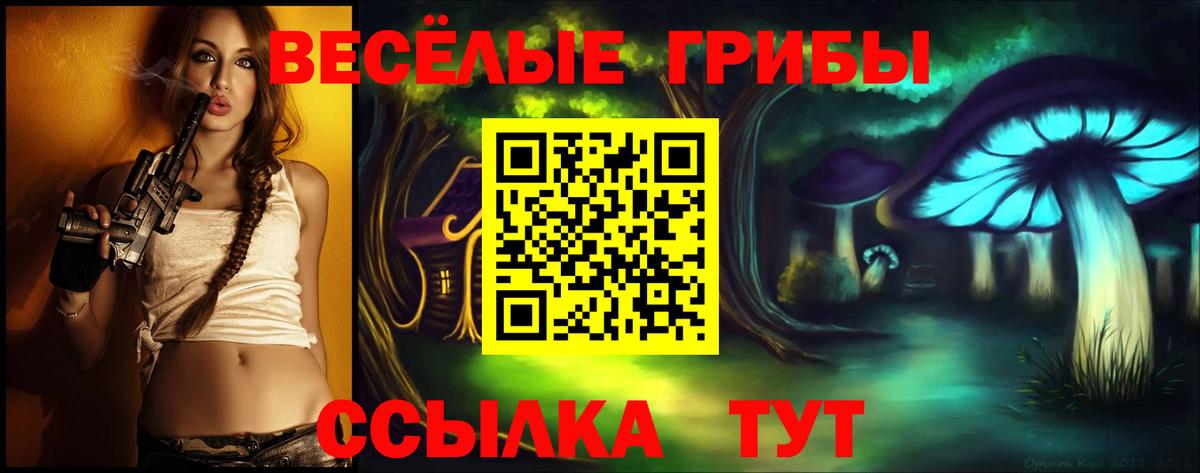 Горячий Ключ  где купить   Вход с VPN  Псилоцибиновые грибы Psilocybine cubensis 